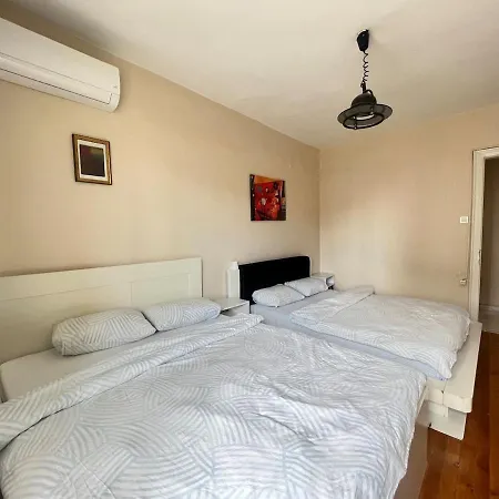 公寓 Two Flats With 6br, 4ba 伊斯坦布尔